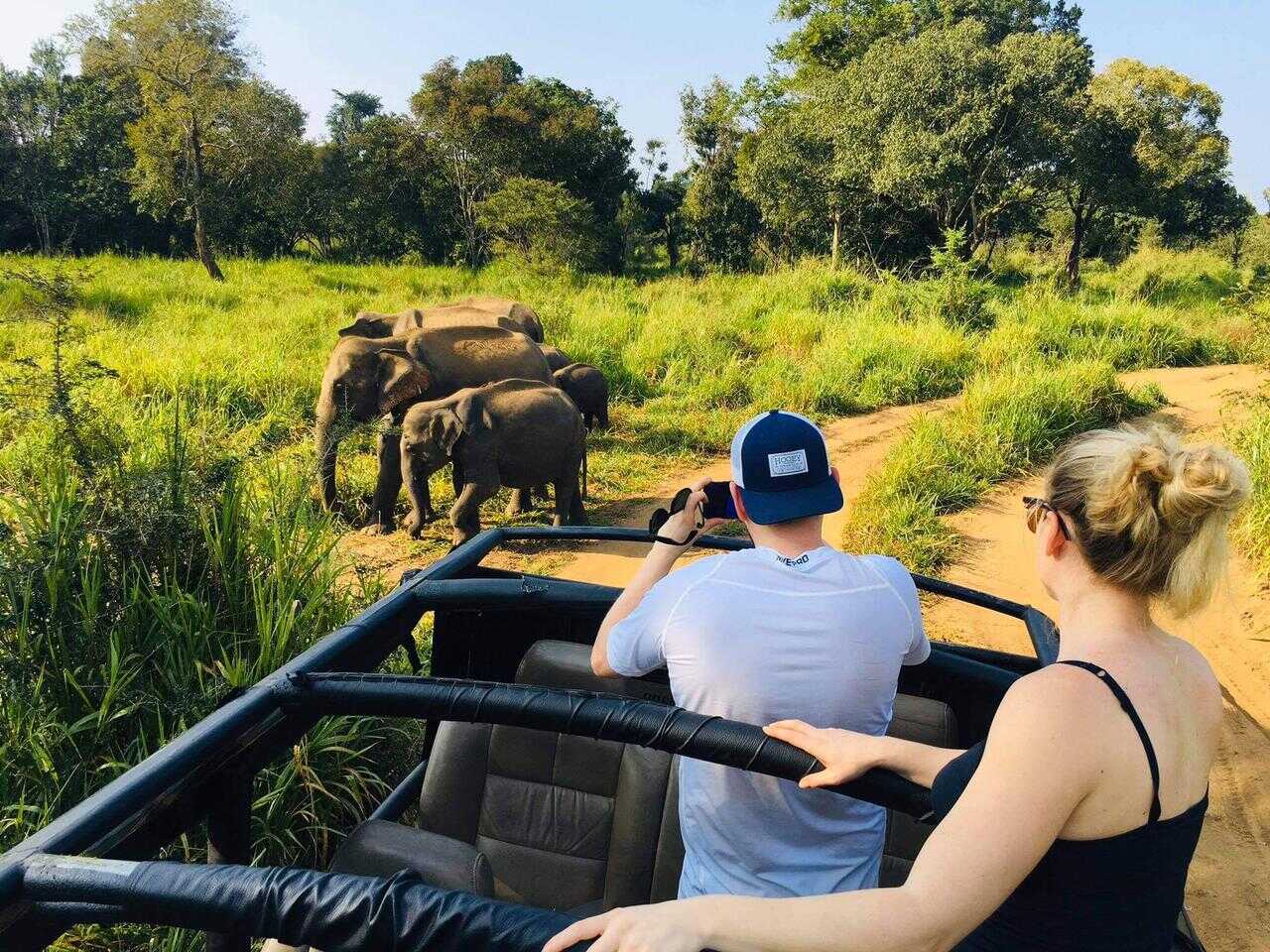 Safari Gallery Image