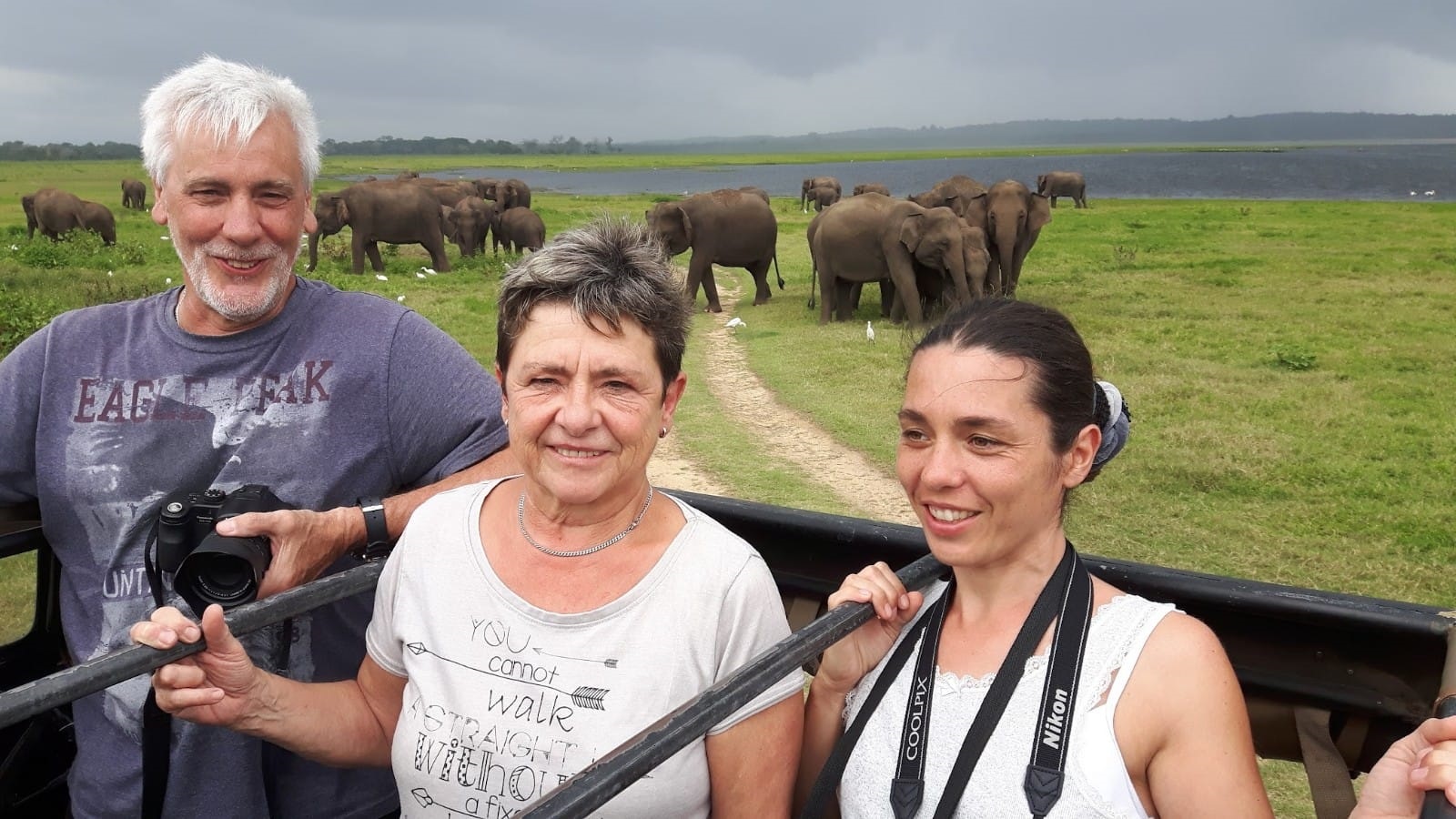 Safari Gallery Image